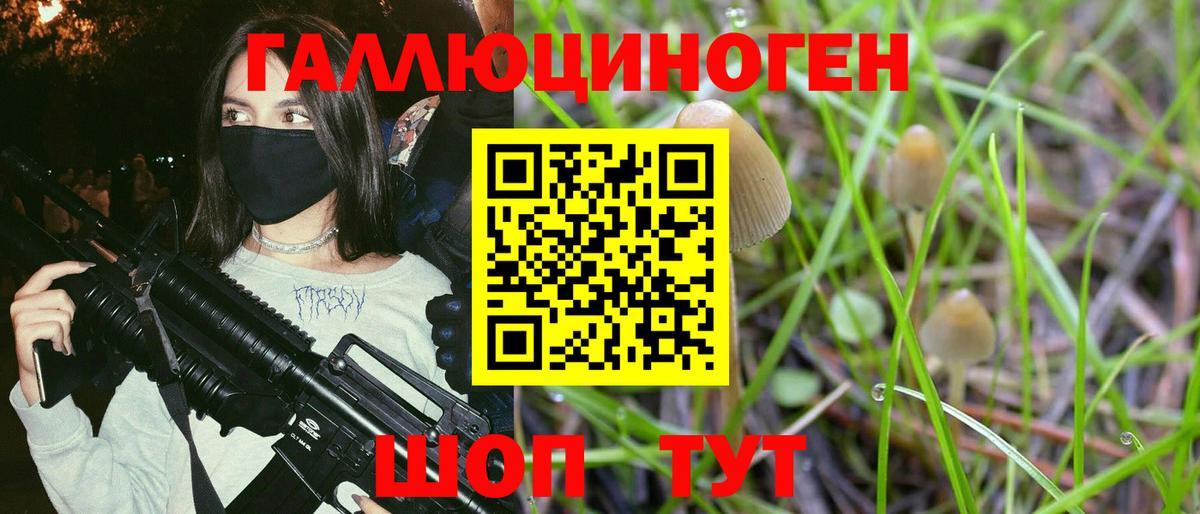 Галлюциногенные грибы мухоморы Тулун